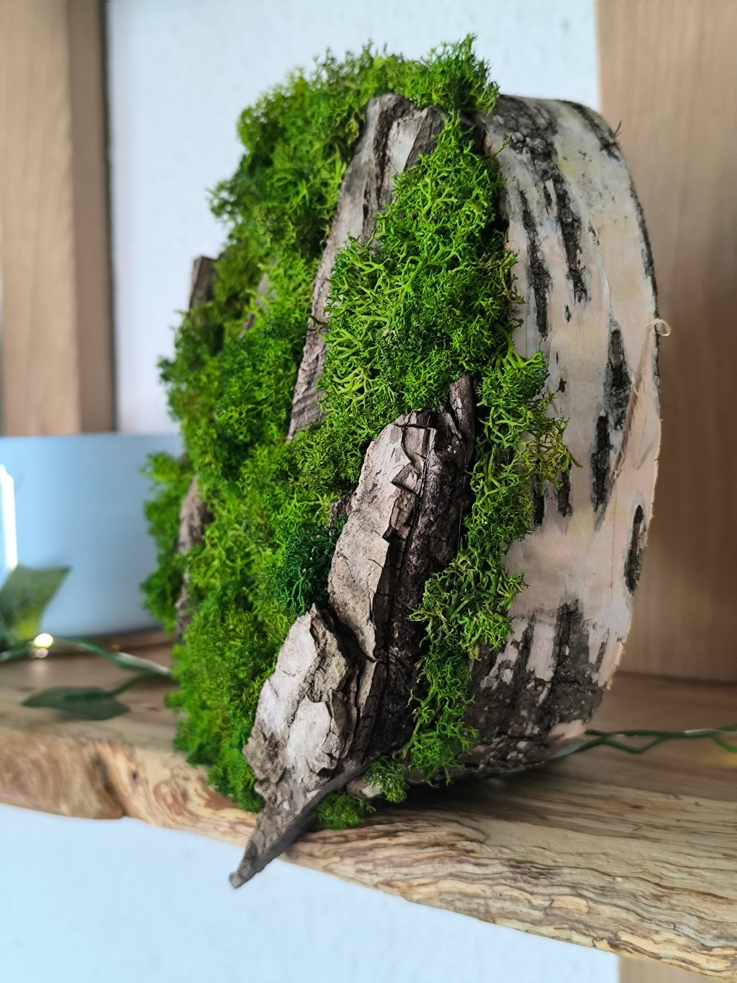 Tablou/ Decoratiune cu licheni naturali – decor din lemn 18-21 cm