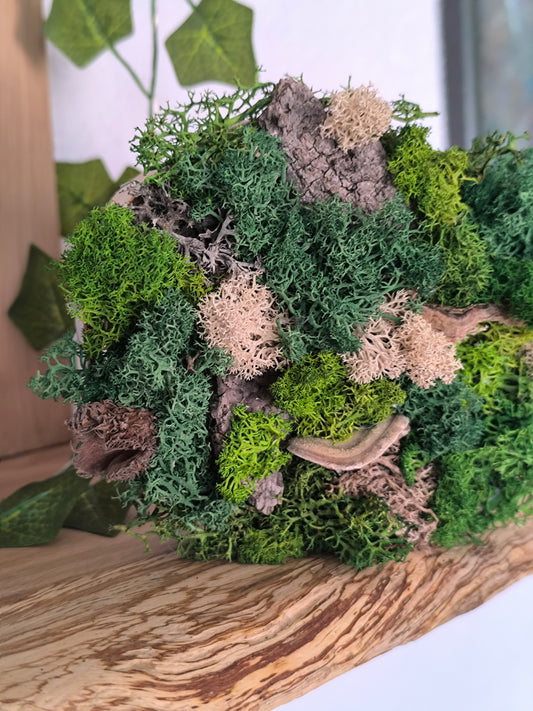 Mini tablou cu licheni naturali – decor din lemn 12 cm