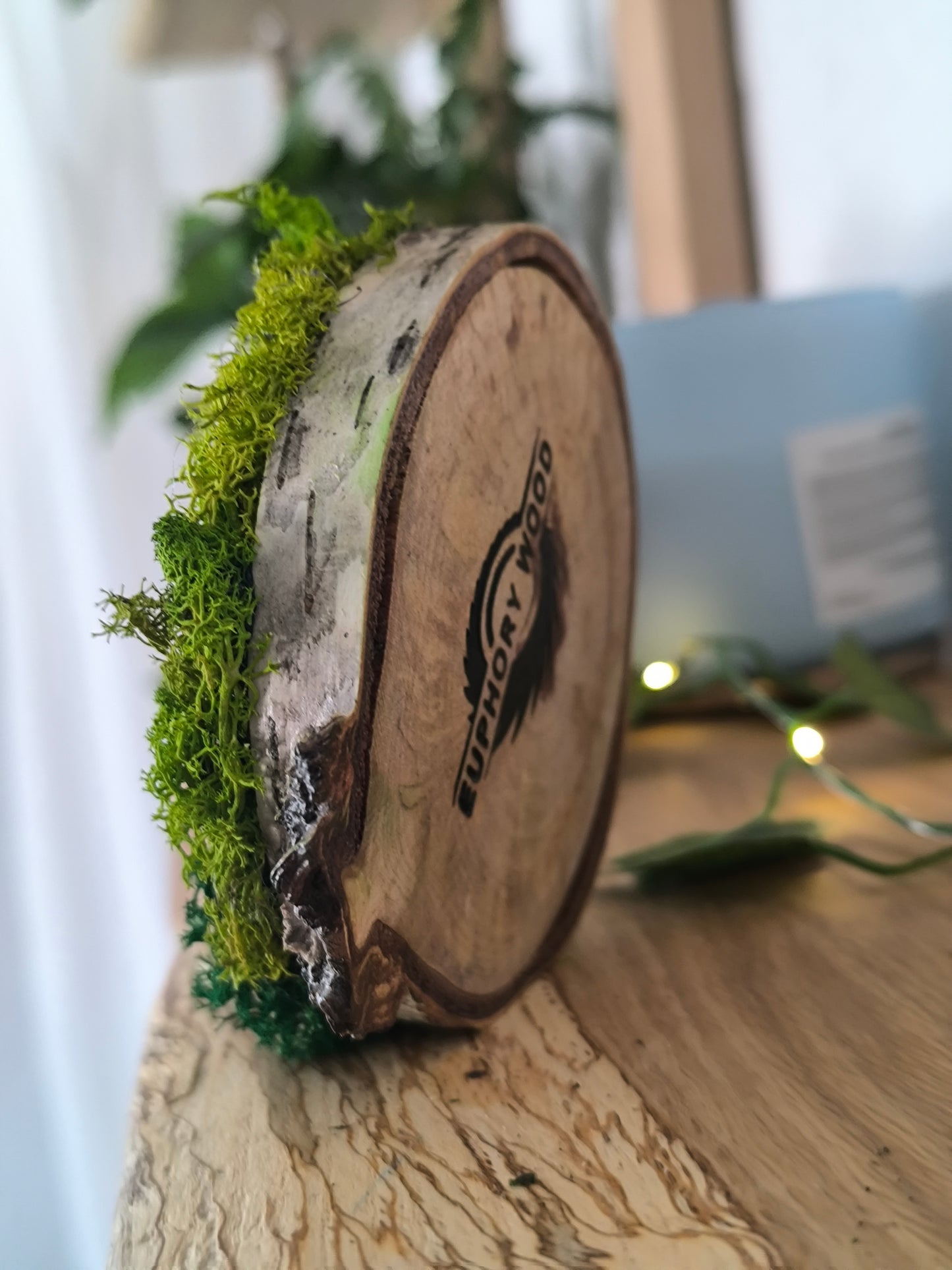 Mini tablou cu licheni naturali – decor din lemn 9 cm