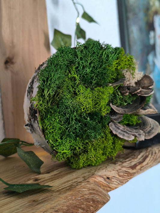 Mini tablou cu licheni naturali – decor din lemn 12,5cm