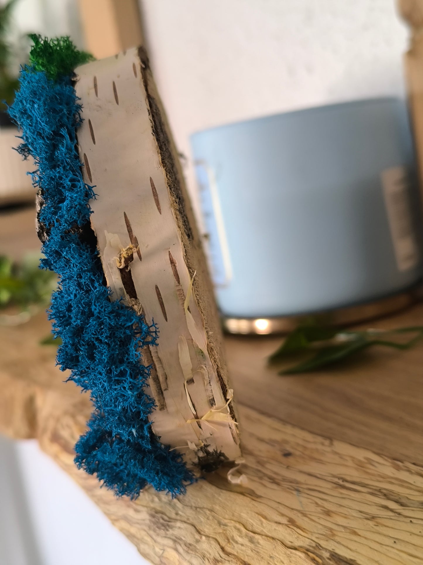Mini tablou cu licheni naturali – decor din lemn 12 cm