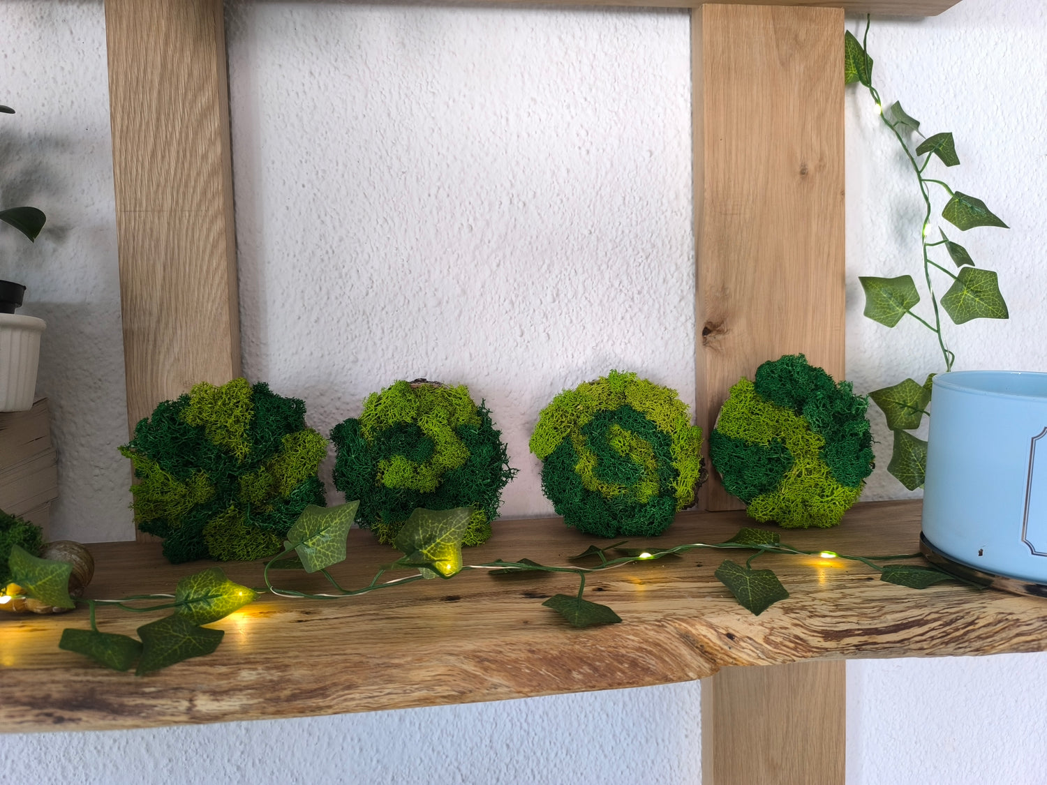 Moss & Nature Decor