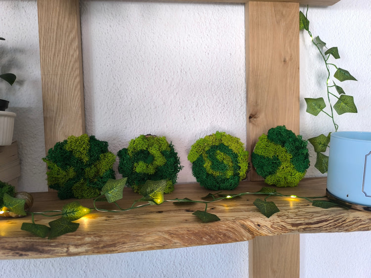 Moss & Nature Decor