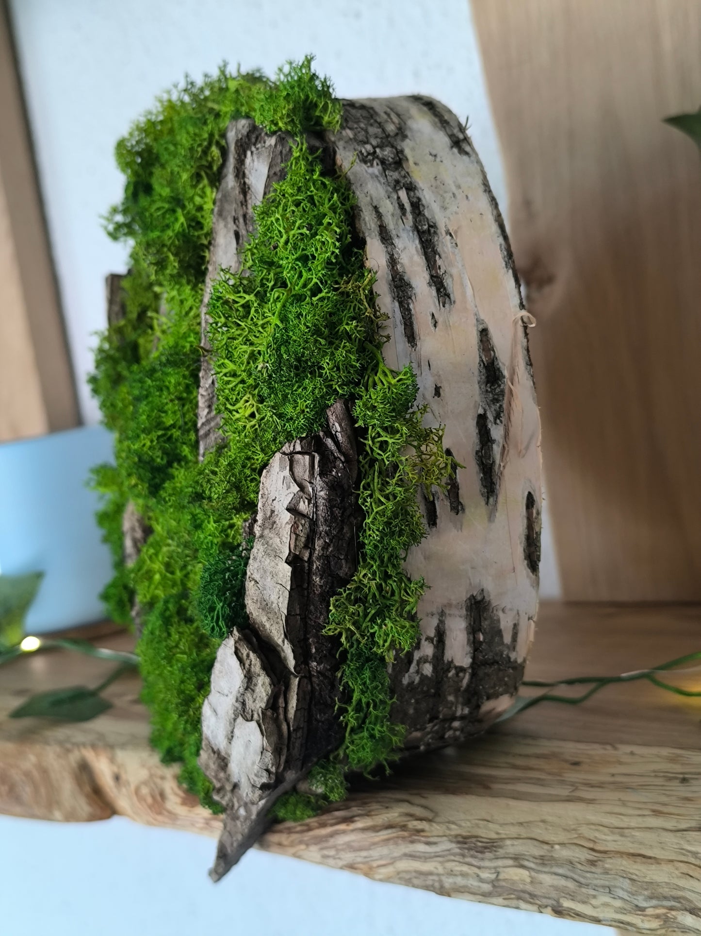 Tablou/ Decoratiune cu licheni naturali – decor din lemn 18-21 cm