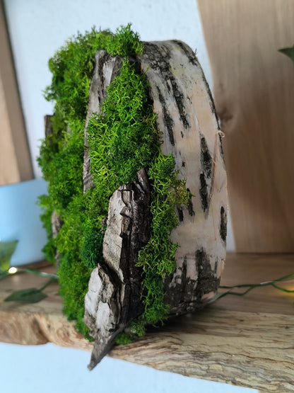 Tablou/ Decoratiune cu licheni naturali – decor din lemn 18-21 cm