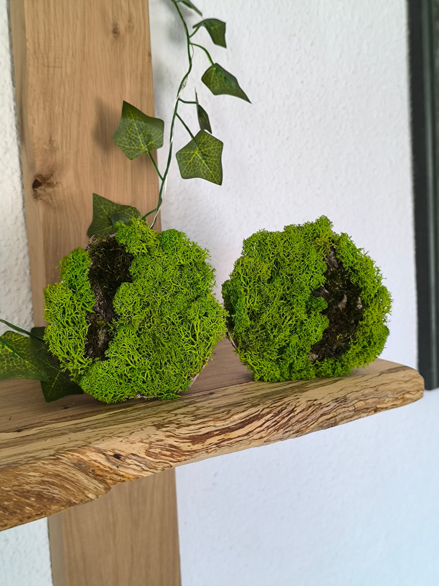 Set 2 Mini tablouri cu licheni naturali – decor din lemn 9 cm