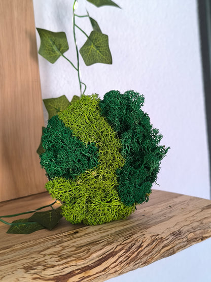 Mini tablou cu licheni naturali – decor din lemn 9 cm