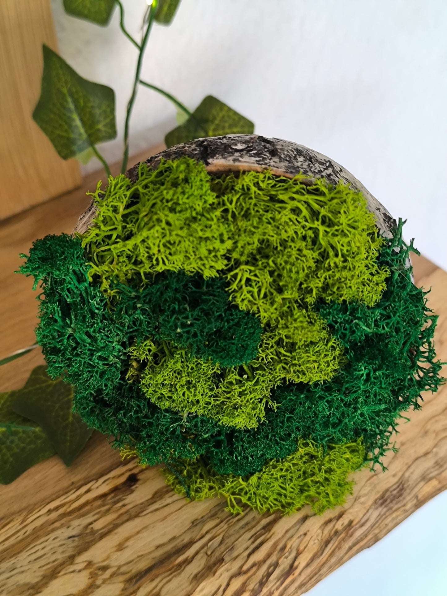 Mini tablou cu licheni naturali – decor din lemn 9 cm