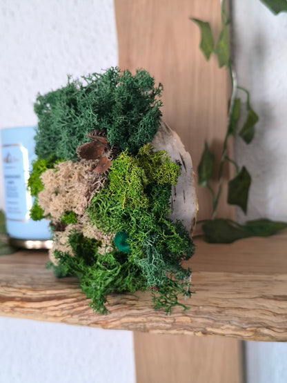 Mini tablou cu licheni naturali – decor din lemn 11 cm