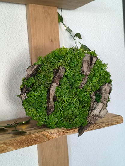 Tablou/ Decoratiune cu licheni naturali – decor din lemn 18-21 cm