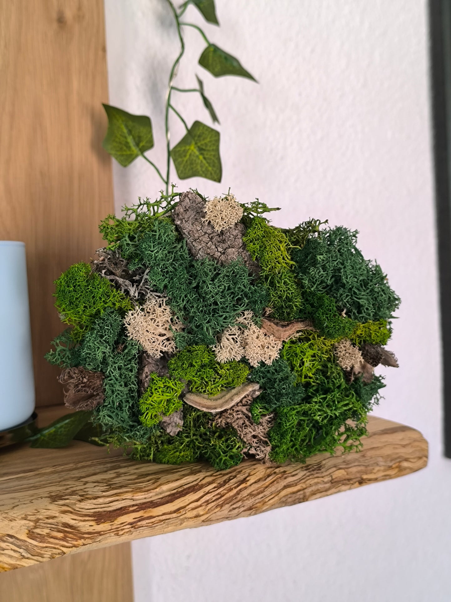 Mini tablou cu licheni naturali – decor din lemn 12 cm