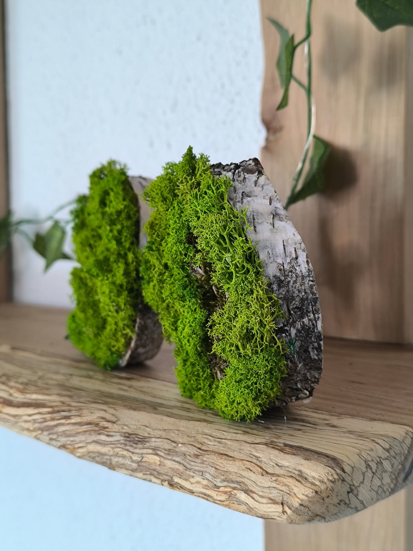 Set 2 Mini tablouri cu licheni naturali – decor din lemn 9 cm