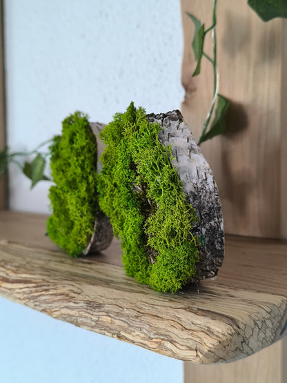 Set 2 Mini tablouri cu licheni naturali – decor din lemn 9 cm