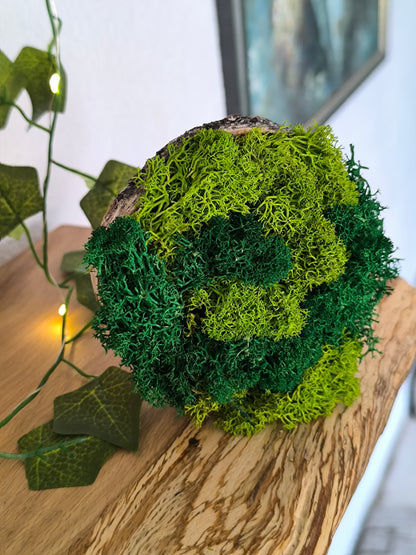 Mini tablou cu licheni naturali – decor din lemn 9 cm