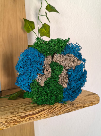 Mini tablou cu licheni naturali – decor din lemn 12 cm