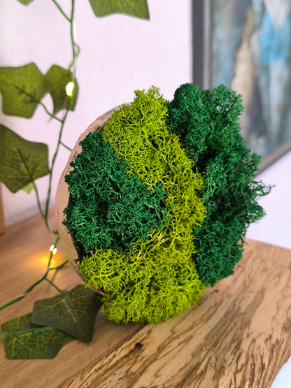 Mini tablou cu licheni naturali – decor din lemn 9 cm