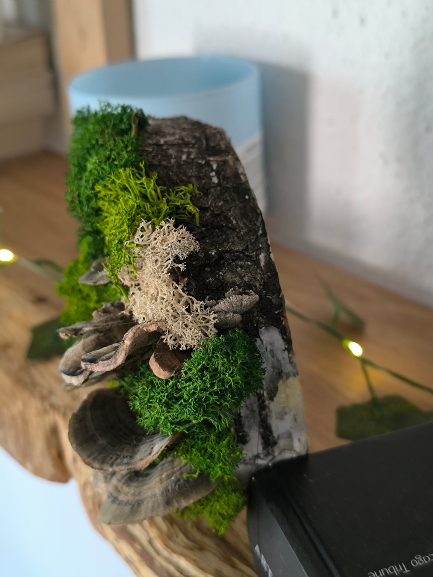 Mini tablou cu licheni naturali – decor din lemn 12,5cm