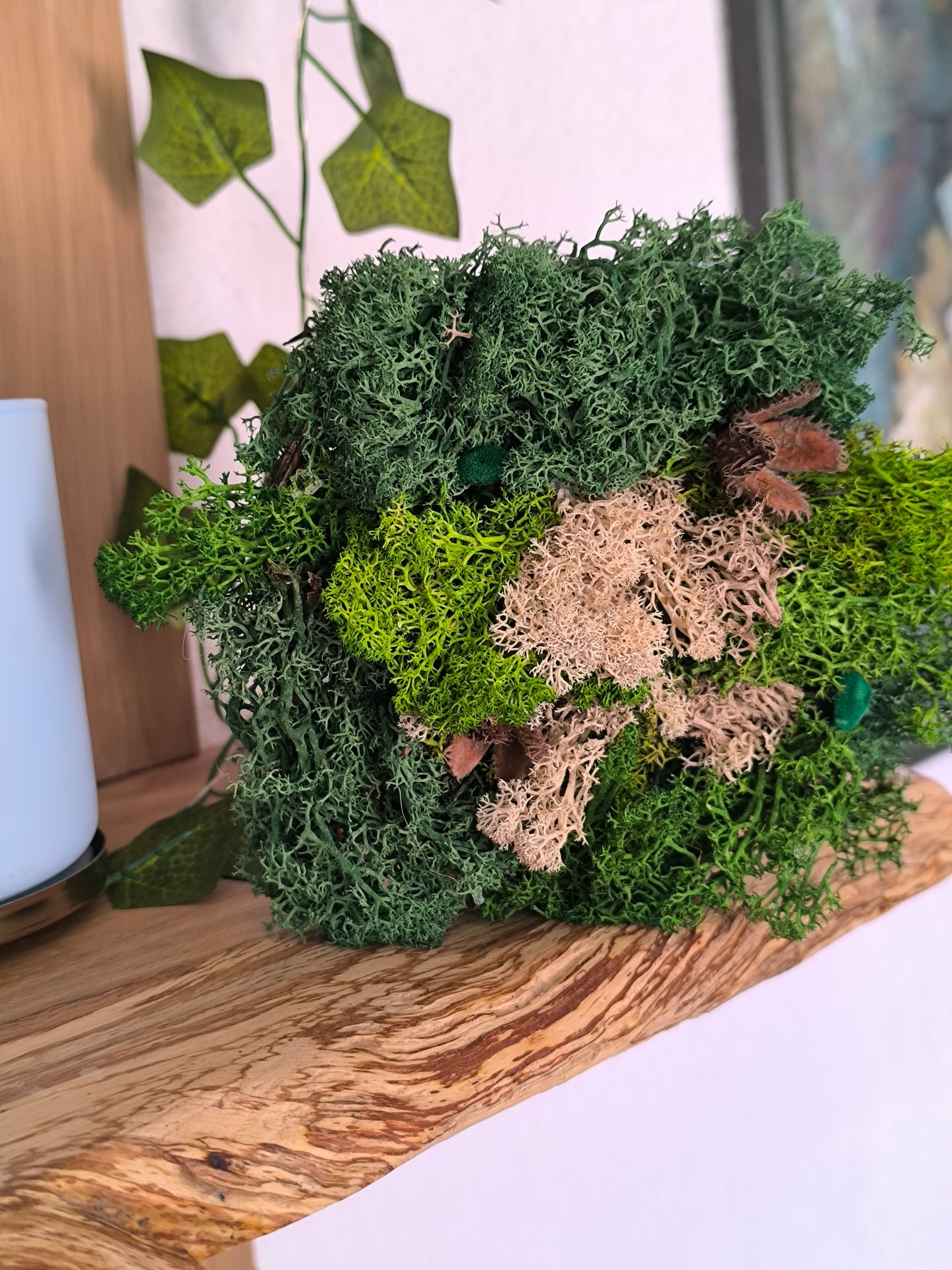 Mini tablou cu licheni naturali – decor din lemn 11 cm