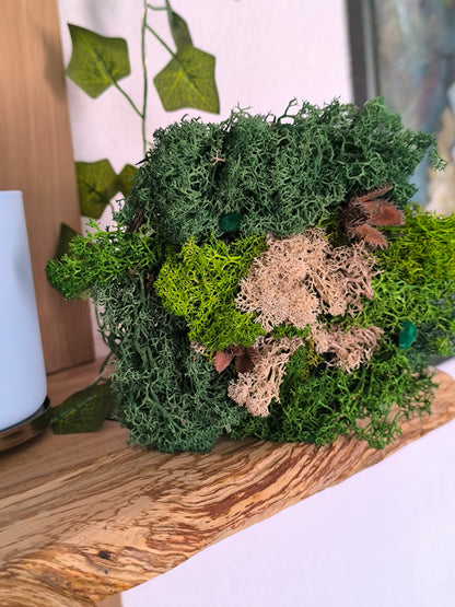 Mini tablou cu licheni naturali – decor din lemn 11 cm