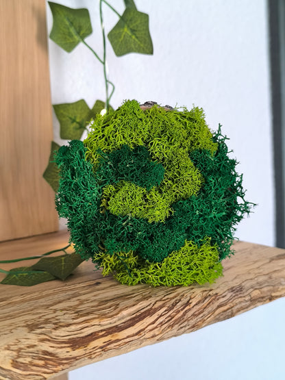 Set 4 decorațiuni naturale cu licheni stabilizați – design rotund 9 cm