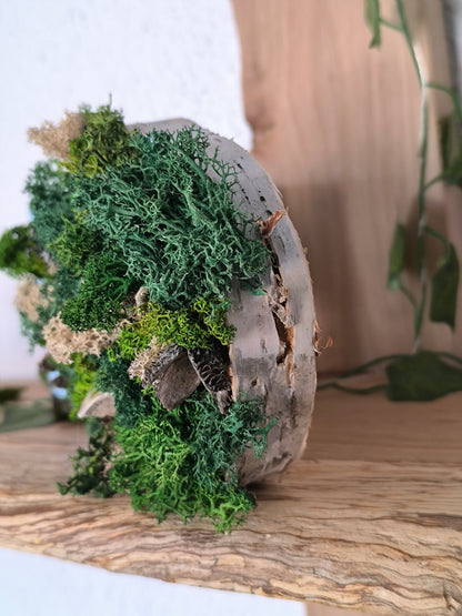 Mini tablou cu licheni naturali – decor din lemn 12 cm