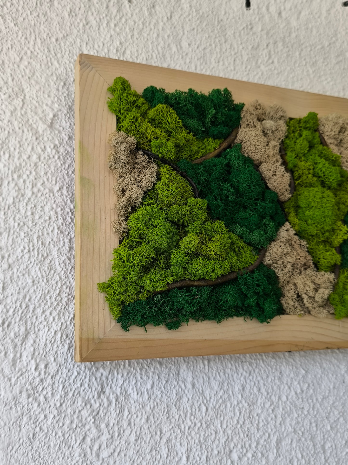 Tablou decorativ cu licheni stabilizați și crengi de salcie – Moss Art natural A4