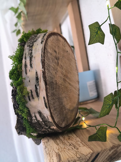 Tablou/ Decoratiune cu licheni naturali – decor din lemn 18-21 cm