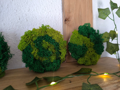 Set 4 decorațiuni naturale cu licheni stabilizați – design rotund 9 cm