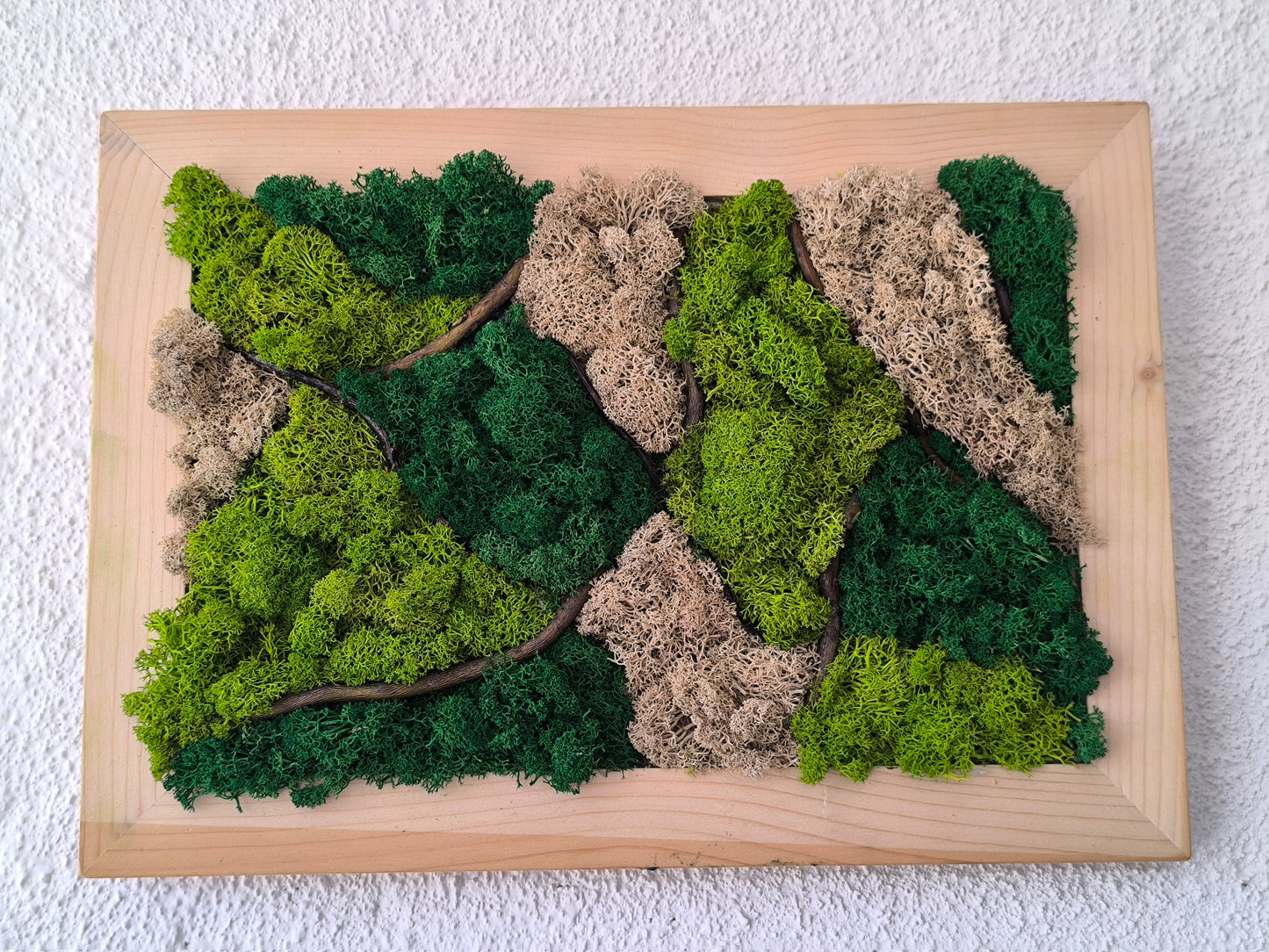 Tablou decorativ cu licheni stabilizați și crengi de salcie – Moss Art natural A4