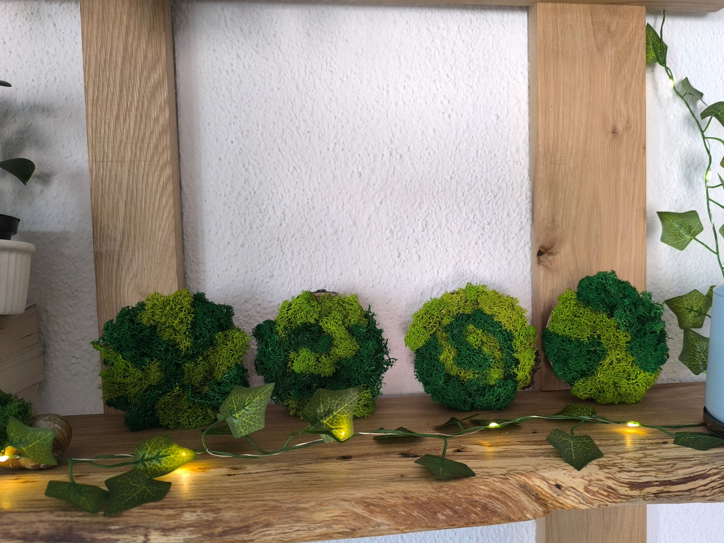 Set 4 decorațiuni naturale cu licheni stabilizați – design rotund 9 cm
