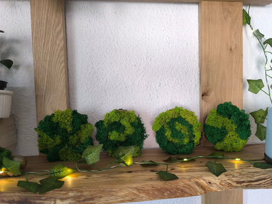 Set 4 decorațiuni naturale cu licheni stabilizați – design rotund 9 cm
