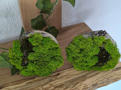 Set 2 Mini tablouri cu licheni naturali – decor din lemn 9 cm