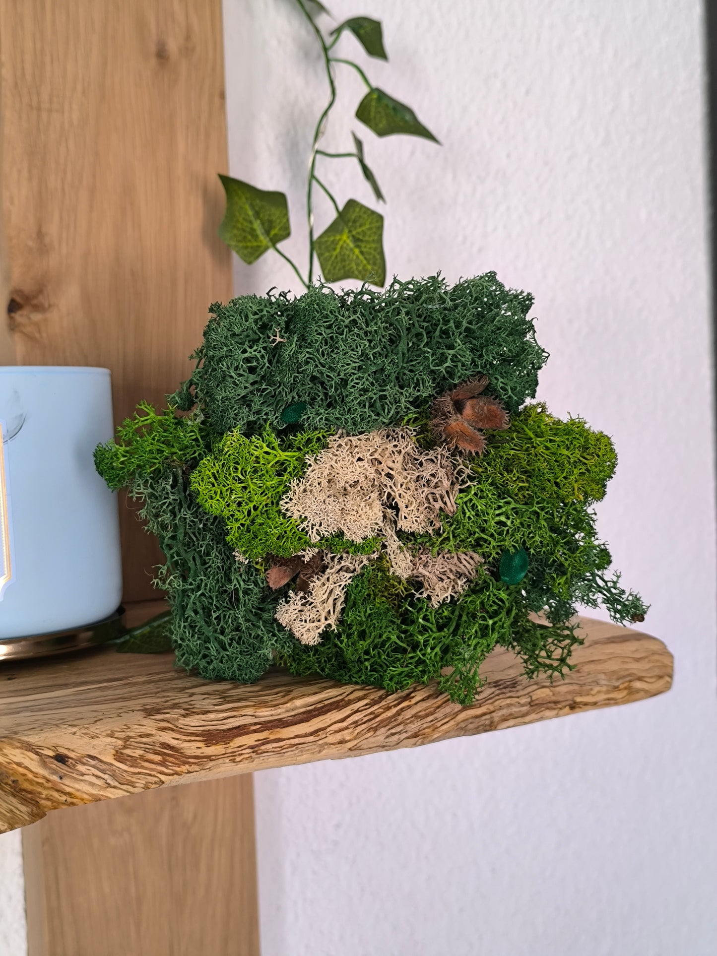 Mini tablou cu licheni naturali – decor din lemn 11 cm