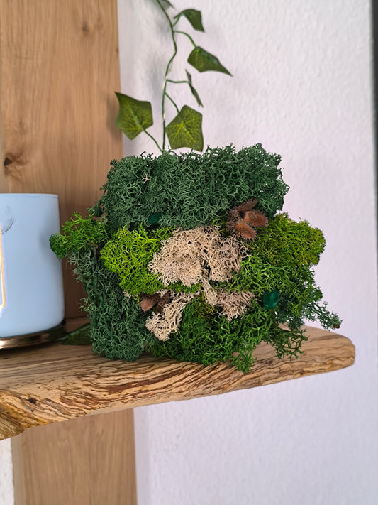 Mini tablou cu licheni naturali – decor din lemn 11 cm