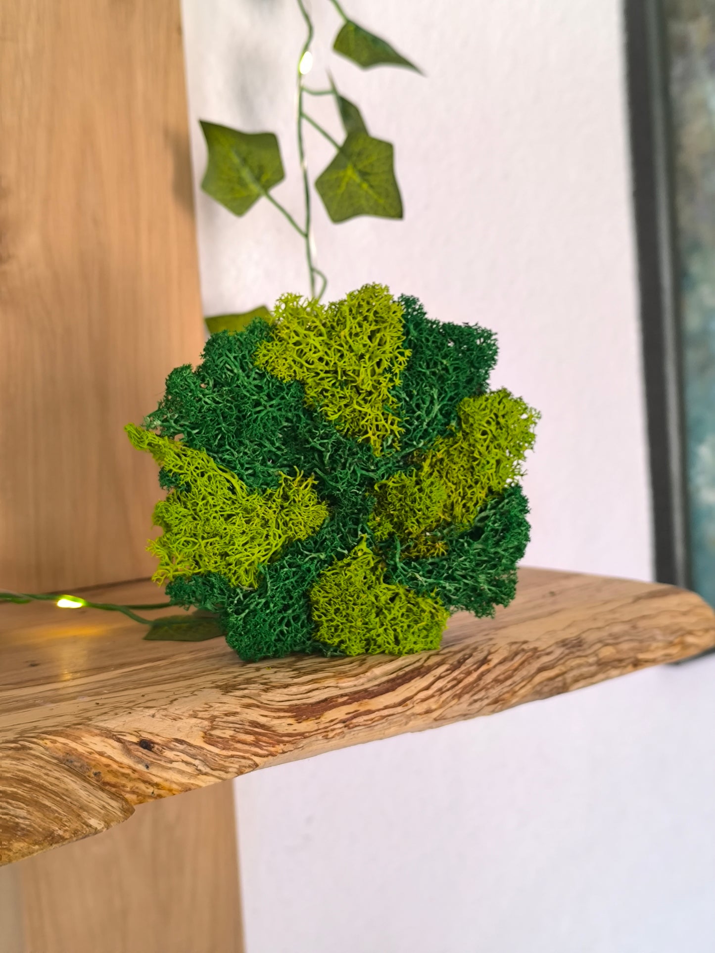 Mini tablou cu licheni naturali – decor din lemn 9 cm