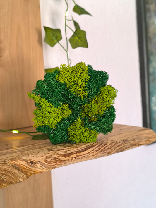 Mini tablou cu licheni naturali – decor din lemn 9 cm