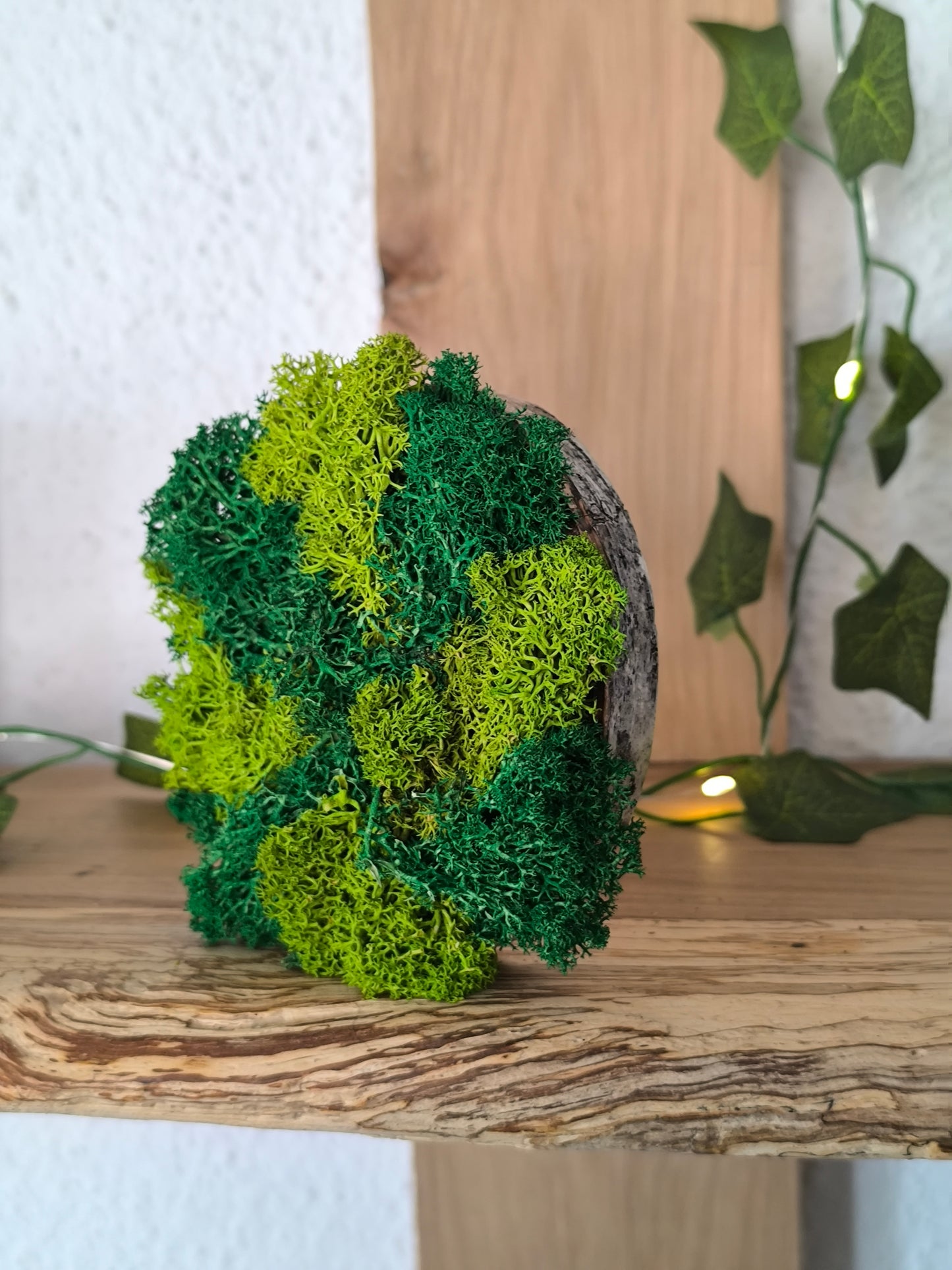 Mini tablou cu licheni naturali – decor din lemn 9 cm
