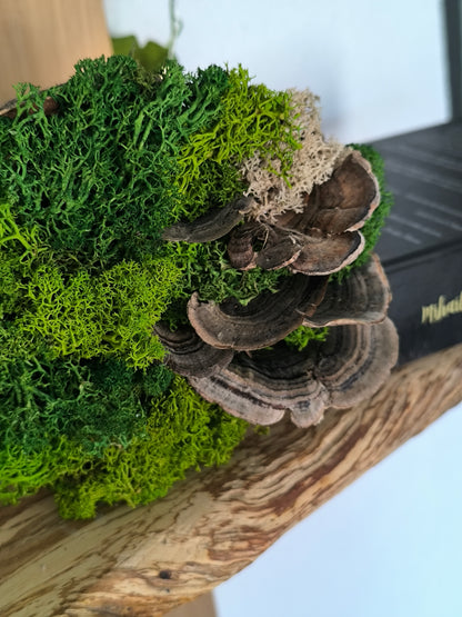Mini tablou cu licheni naturali – decor din lemn 12,5cm