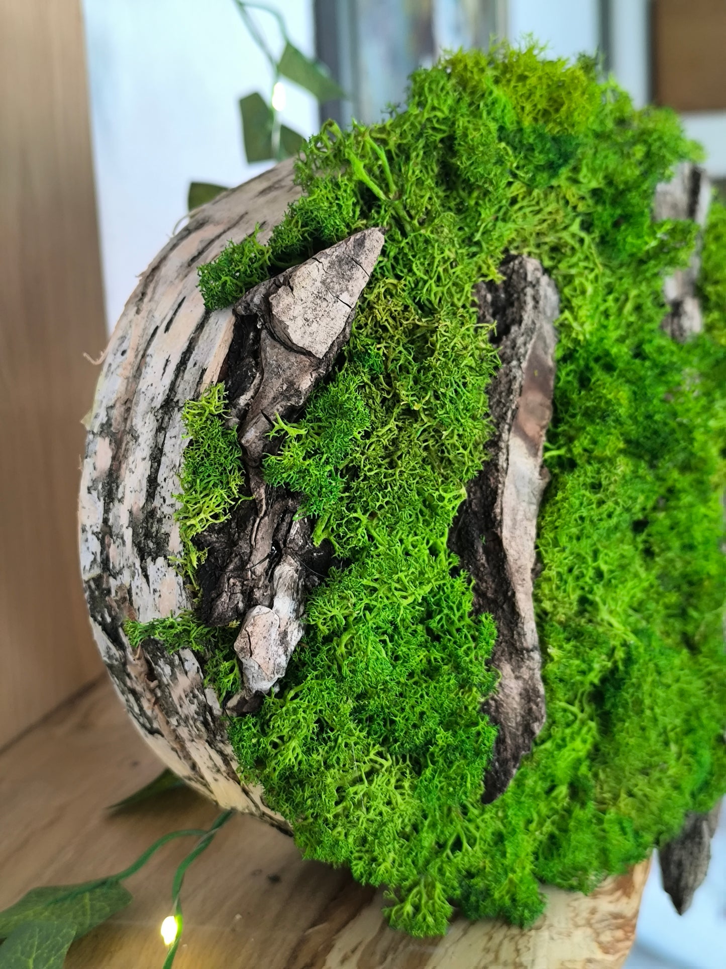 Tablou/ Decoratiune cu licheni naturali – decor din lemn 18-21 cm