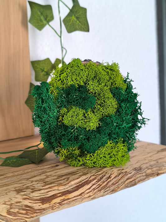 Mini tablou cu licheni naturali – decor din lemn 9 cm