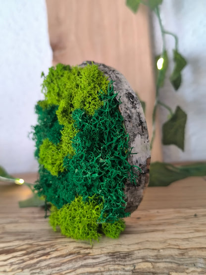 Mini tablou cu licheni naturali – decor din lemn 9 cm