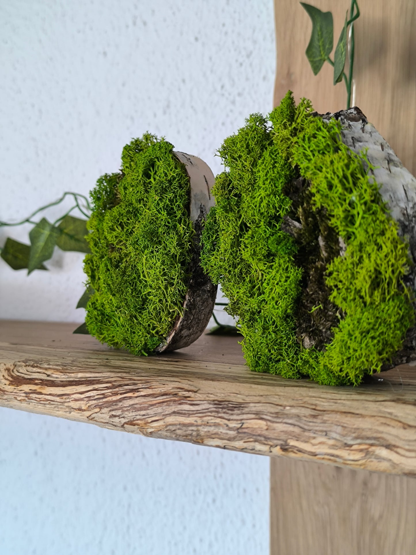 Set 2 Mini tablouri cu licheni naturali – decor din lemn 9 cm