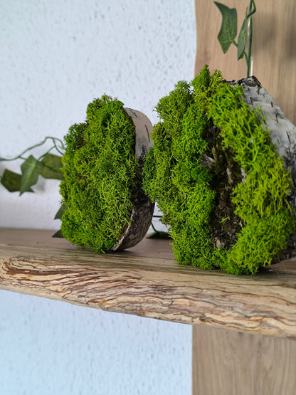Set 2 Mini tablouri cu licheni naturali – decor din lemn 9 cm