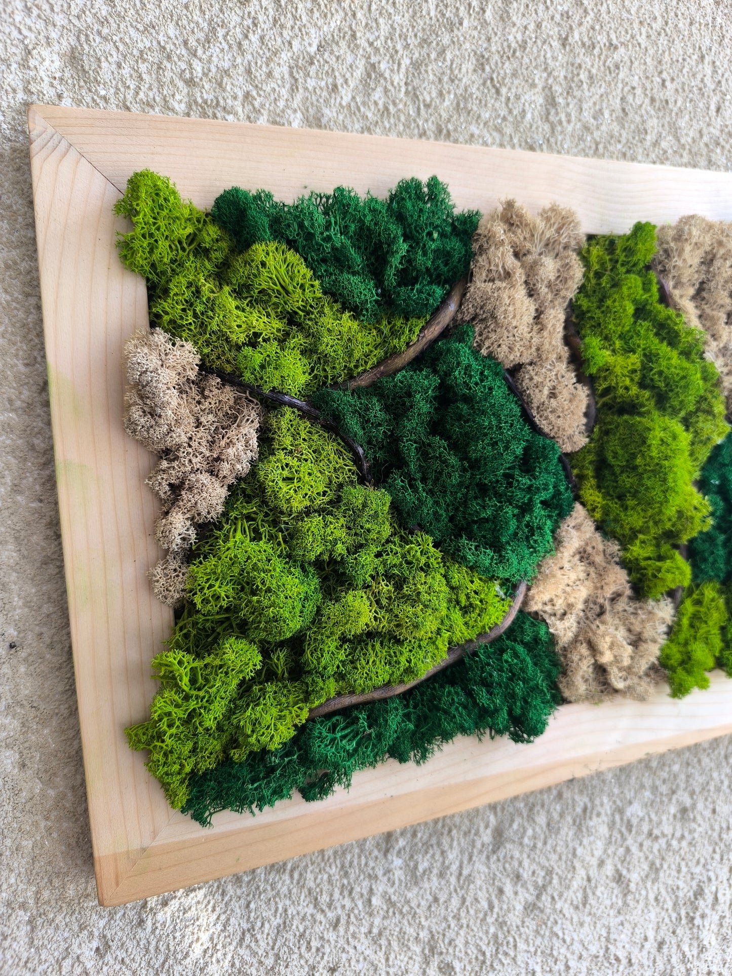 Tablou decorativ cu licheni stabilizați și crengi de salcie – Moss Art natural A4