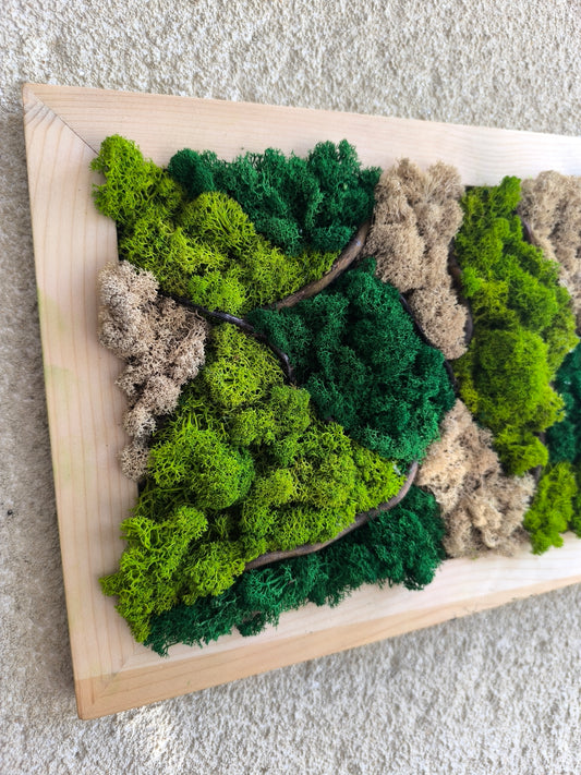 Tablou decorativ cu licheni stabilizați și crengi de salcie – Moss Art natural A4