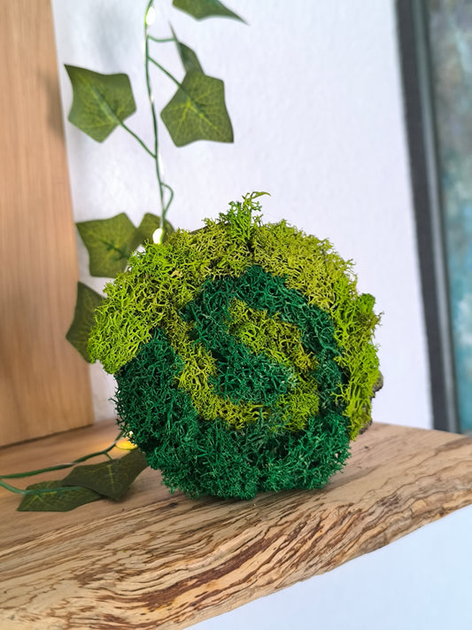 Mini tablou cu licheni naturali – decor din lemn 9 cm