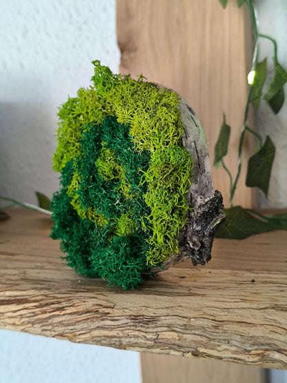 Mini tablou cu licheni naturali – decor din lemn 9 cm