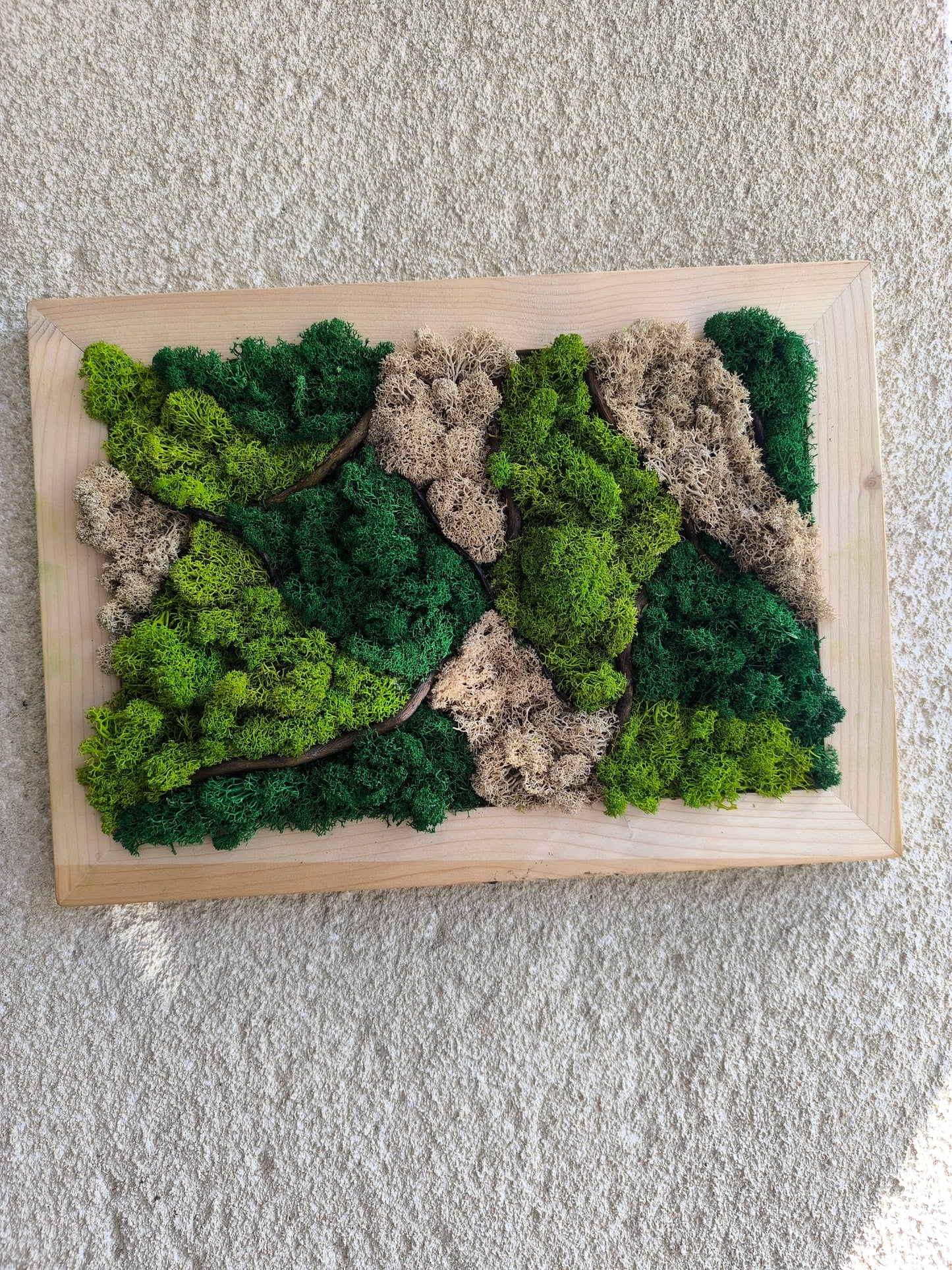 Tablou decorativ cu licheni stabilizați și crengi de salcie – Moss Art natural A4