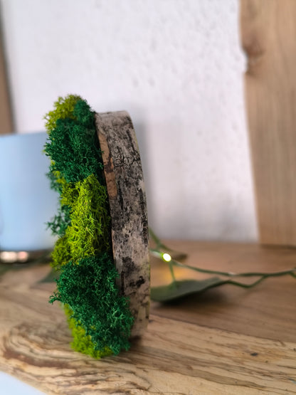Mini tablou cu licheni naturali – decor din lemn 9 cm