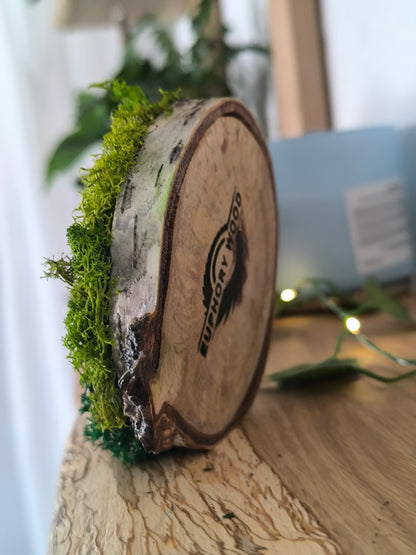 Mini tablou cu licheni naturali – decor din lemn 9 cm